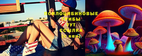 PSILOCYBIN Переславль-Залесский