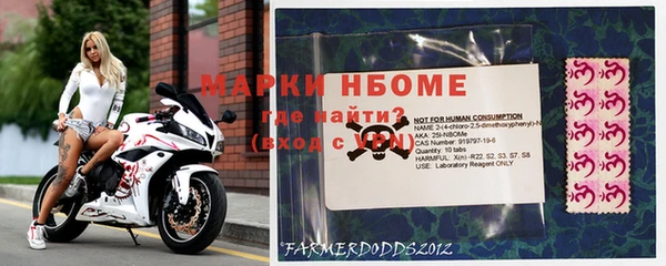 прущий лед Пересвет